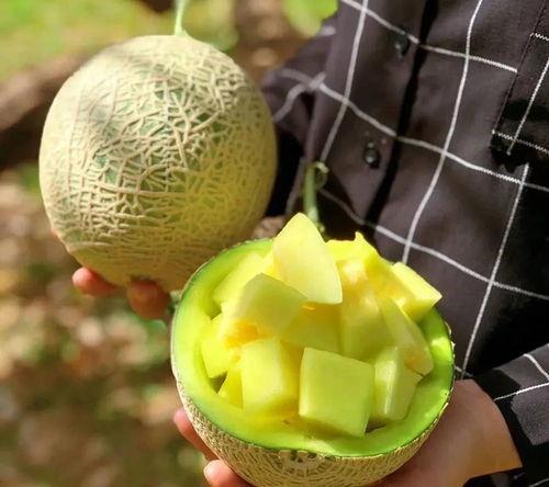 娱乐吃瓜壁纸,壁纸揭秘明星幕后故事