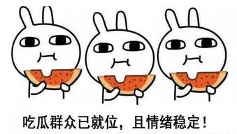 娱乐吃瓜酱晚安蠢蛋,揭秘娱乐圈的甜蜜与苦涩